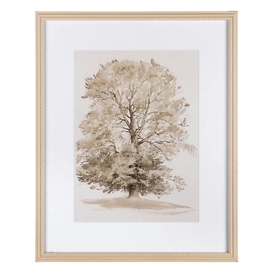 Tree Sketch Framed Art Print