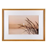 Beach Grass Photo Framed Art Print