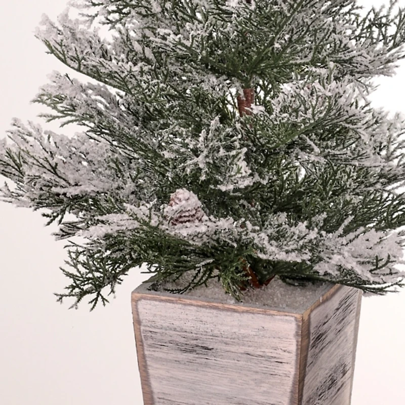 Frosted Cedar Arrangement in Wood Planter
