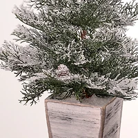 Frosted Cedar Arrangement in Wood Planter