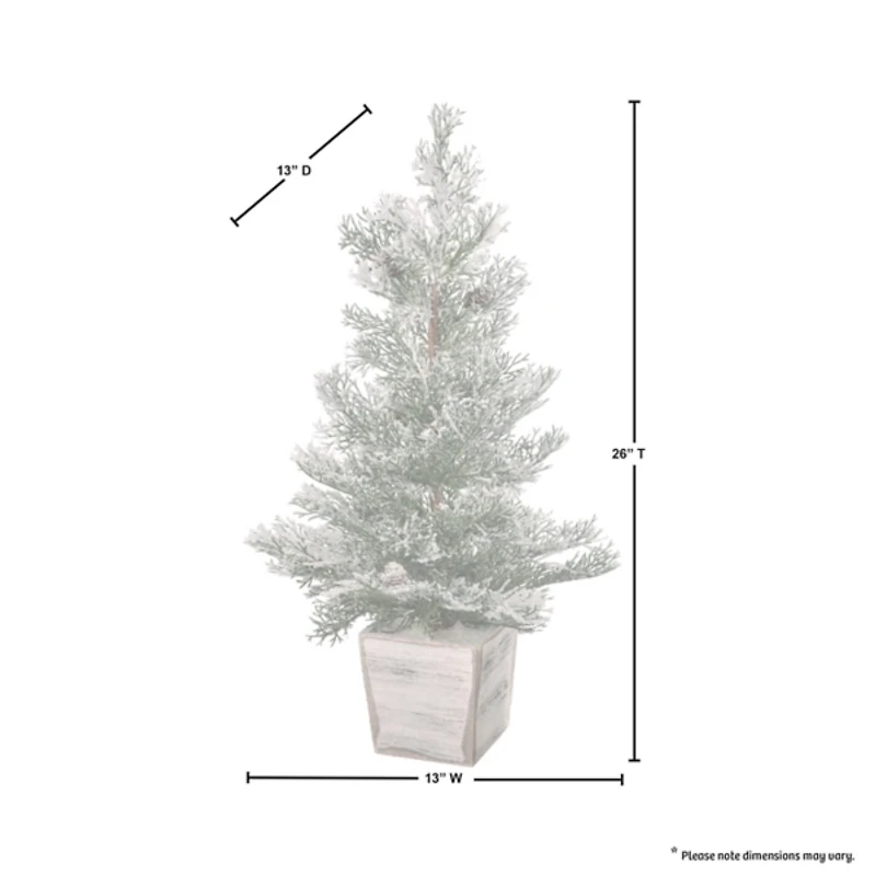 Frosted Cedar Arrangement in Wood Planter