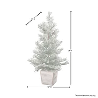 Frosted Cedar Arrangement in Wood Planter