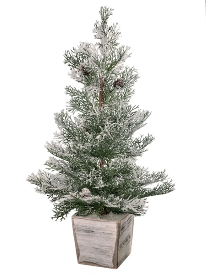 Frosted Cedar Arrangement in Wood Planter