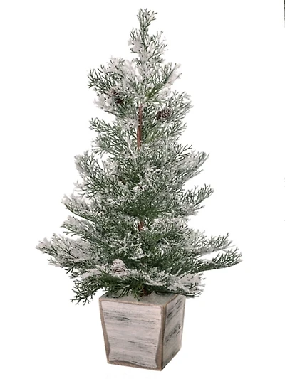 Frosted Cedar Arrangement in Wood Planter