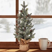 Snow Frost Pine Tree in Burlap Arrangement