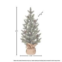 Snow Frost Pine Tree in Burlap Arrangement