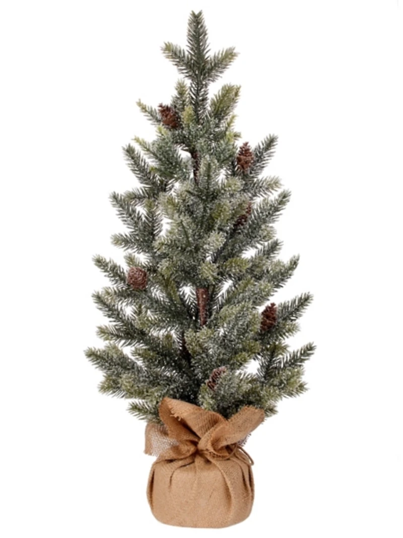 Snow Frost Pine Tree in Burlap Arrangement