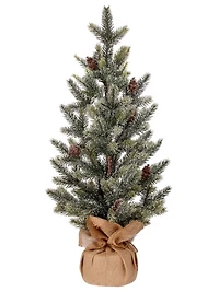 Snow Frost Pine Tree in Burlap Arrangement