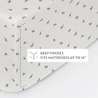 Reindeer 4-pc. Queen Sheet Set