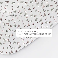 Winter Berries 3-pc. Twin Sheet Set