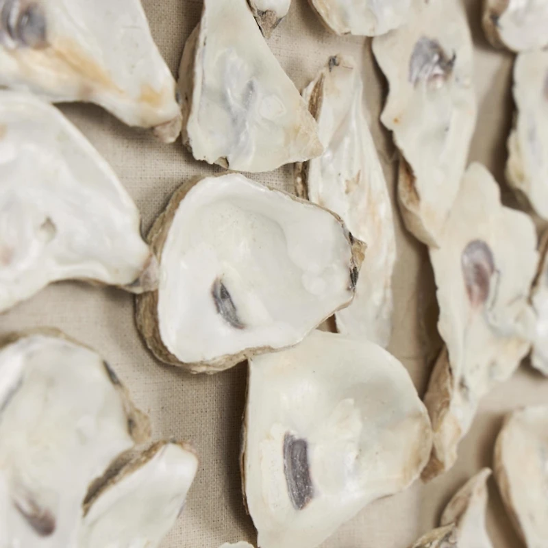 Oyster Shell Framed Wall Plaque