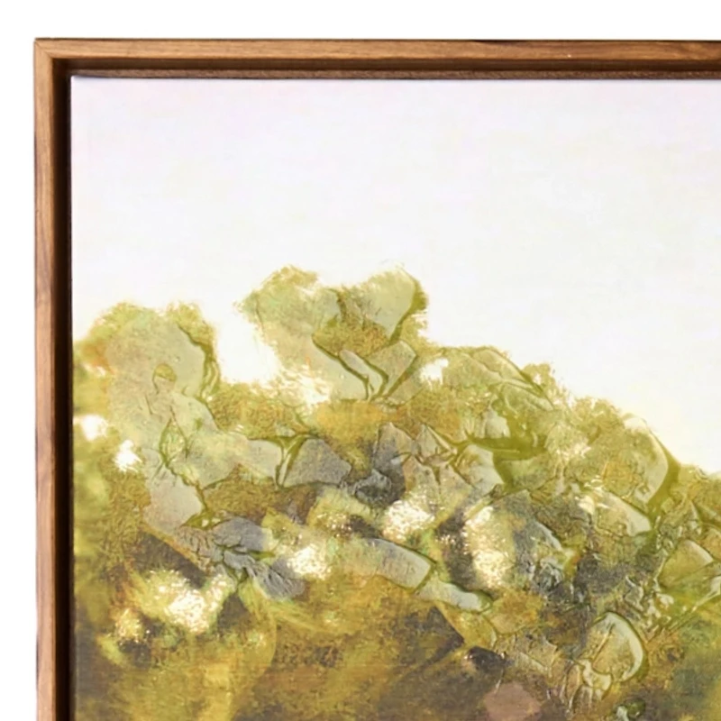 Low Country Framed Canvas Art Print