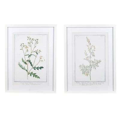 Vintage Foliage Framed Art Prints, Set of 2