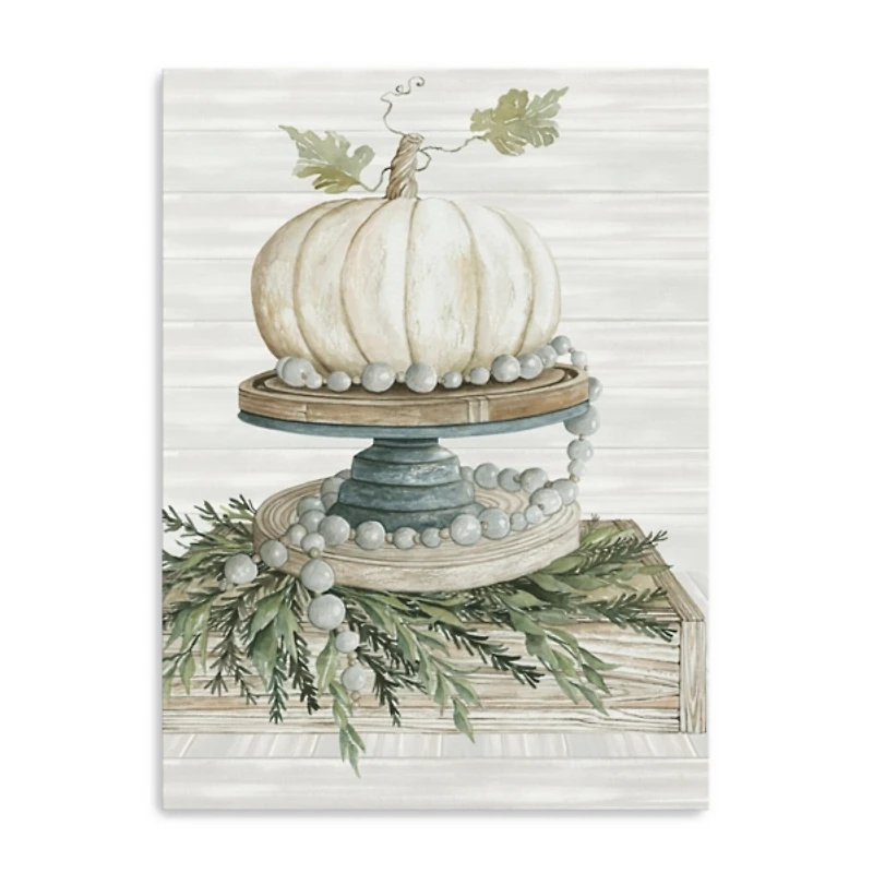 White Pumpkin on Display Canvas Art Print
