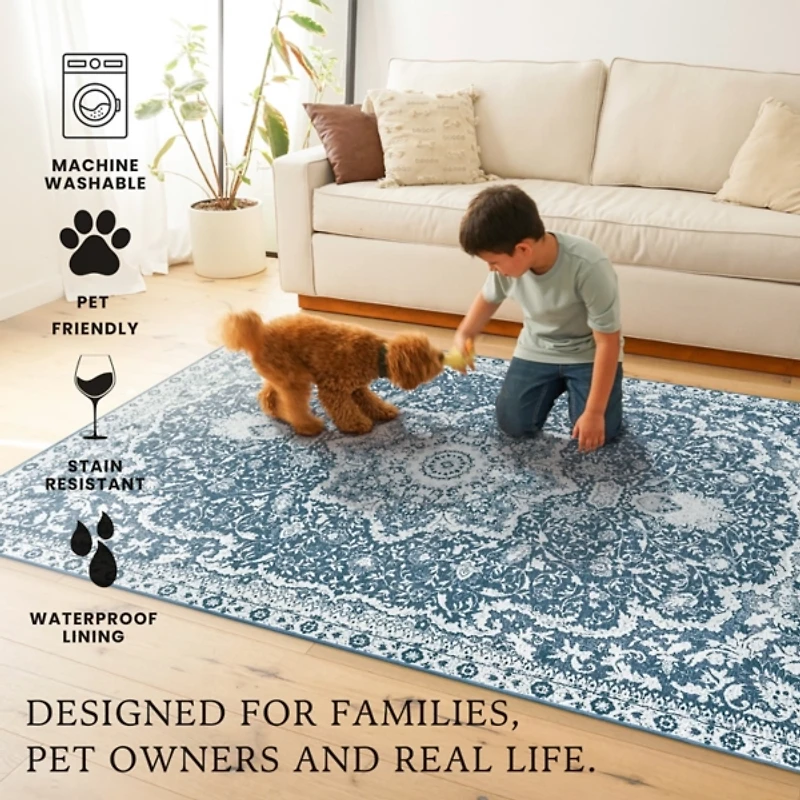 Parviz Washable Area Rug