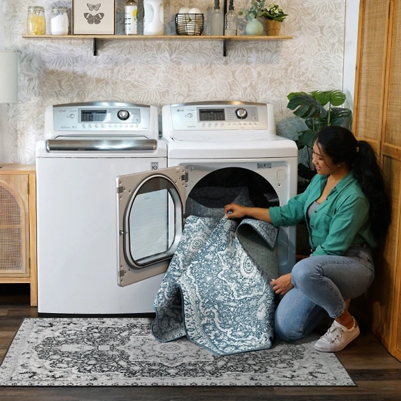 Parviz Washable Area Rug