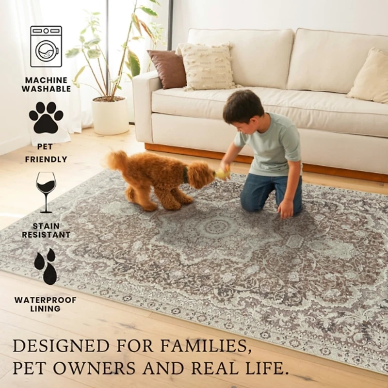 Parviz Brown Washable Area Rug