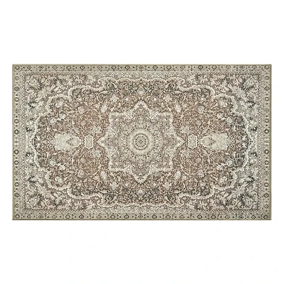 Parviz Brown Washable Area Rug