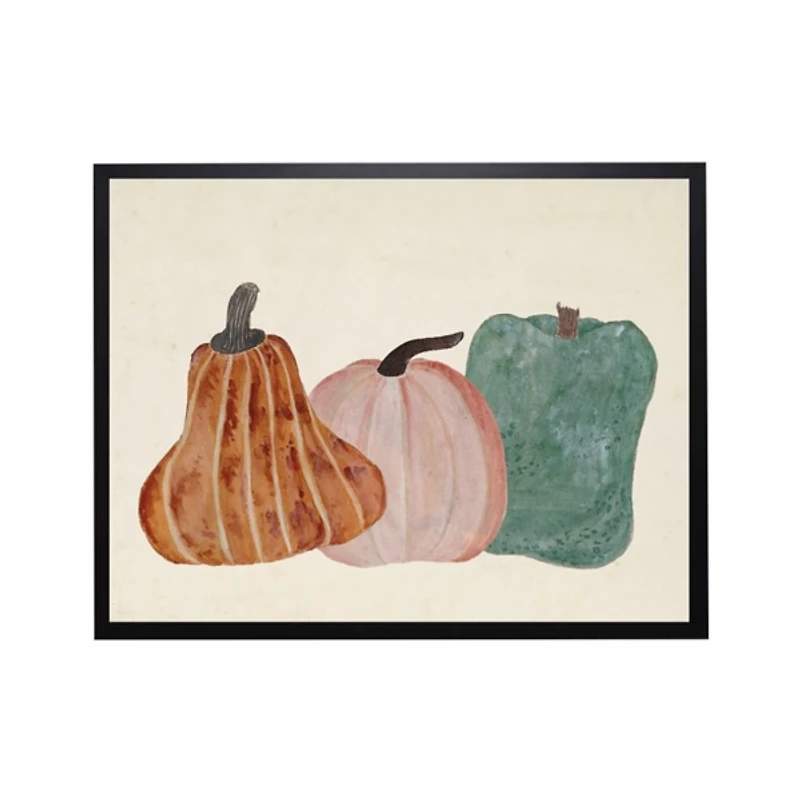Pumpkins and Gourds Framed Art Print