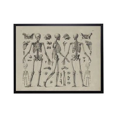 Skeleton Body Halloween Framed Art Print