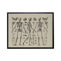 Skeleton Body Halloween Framed Art Print