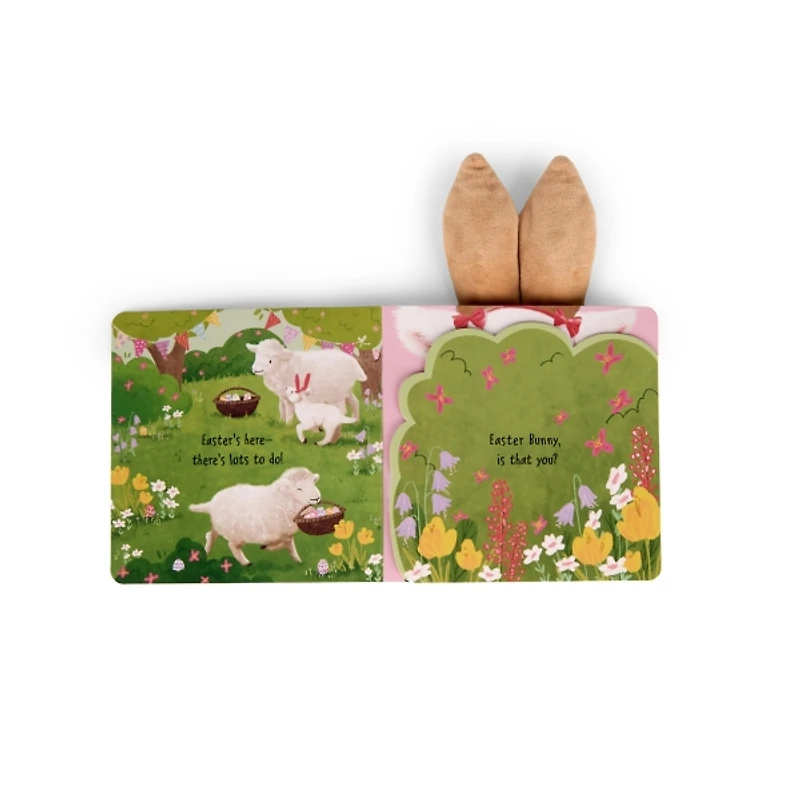 Can You Find the Easter Bunny Book