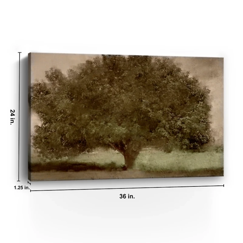 Under the Tree Canvas Art Print, 36x24