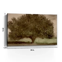 Under the Tree Canvas Art Print, 36x24