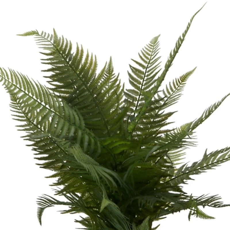 Fern Arrangement in Green Toile Vase