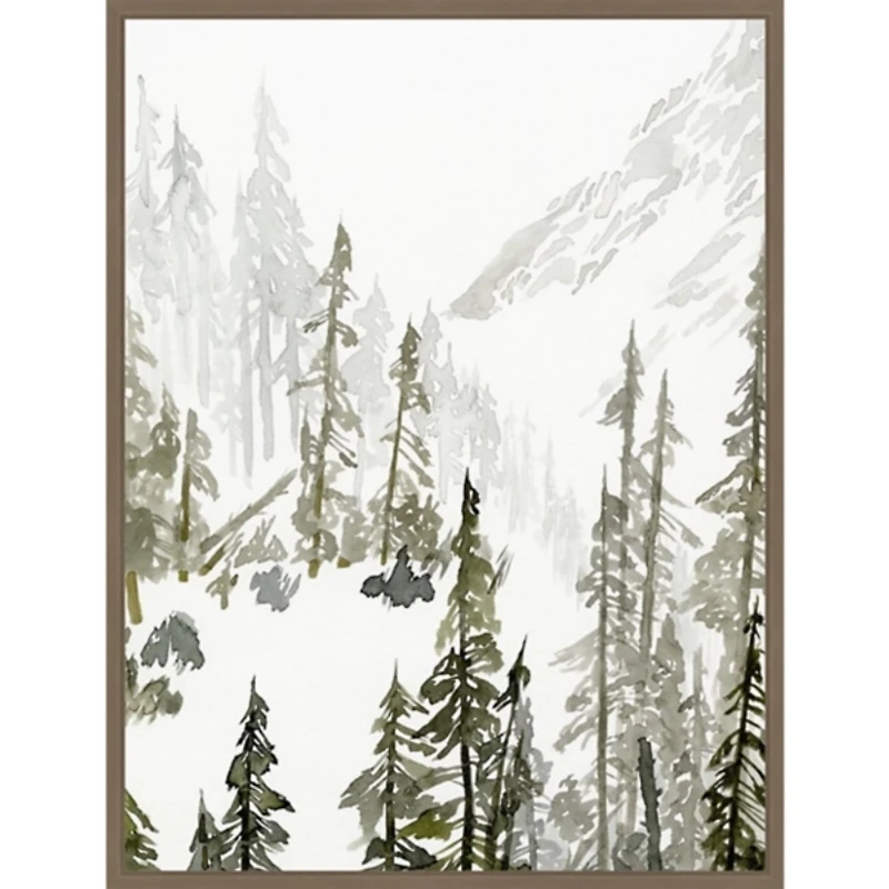 Continental Divide II Framed Canvas Art Print