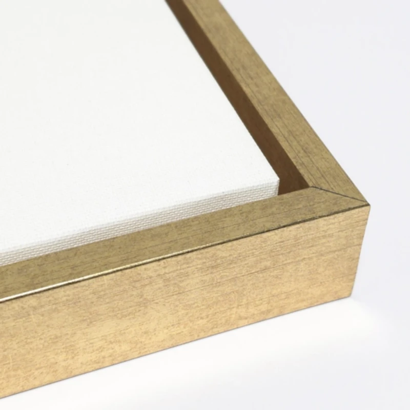 Holiday Sparkle I Framed Canvas Art Print