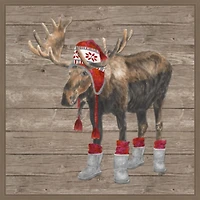 Warm in the Wilderness Moose Framed Canvas Print