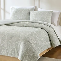 Sage Willow Garden 3-pc. King Comforter Set