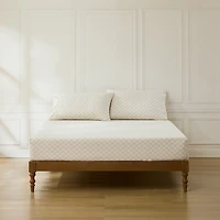 Neutral Damask Cotton 4-pc. Queen Sheet Set