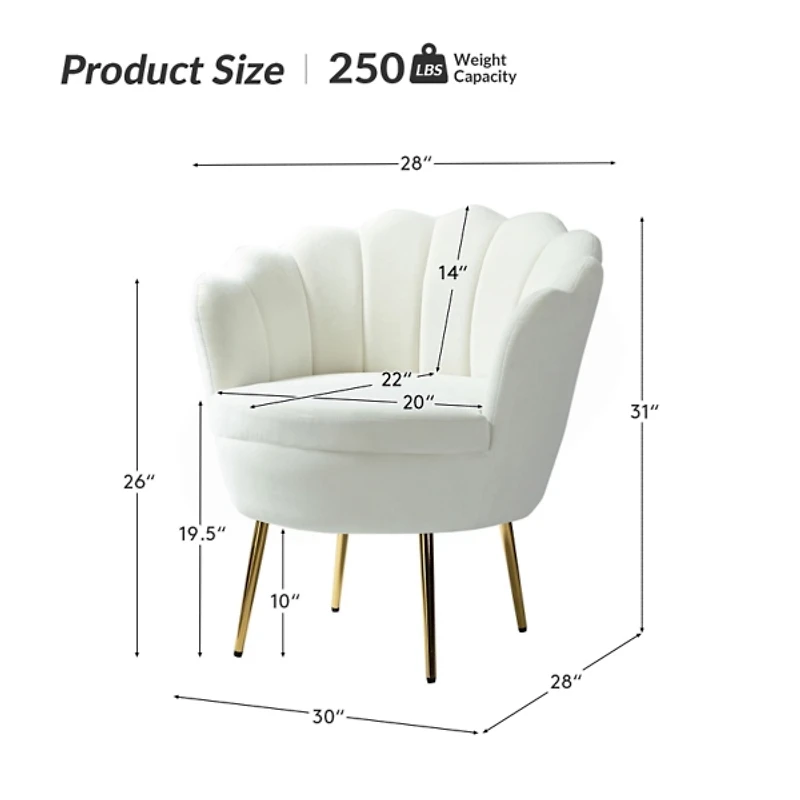 Donata Ivory Velvet Scalloped Barrel Accent Chair