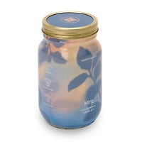 Mint Garden Jar Hydroponic Grow Kit