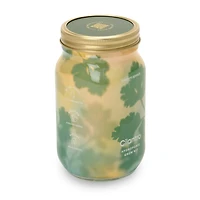 Cilantro Garden Jar Hydroponic Grow Kit