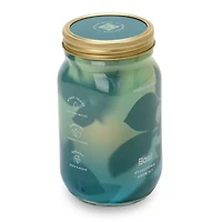 Basil Garden Jar Hydroponic Grow Kit