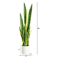 Artificial Sansevieria Plant