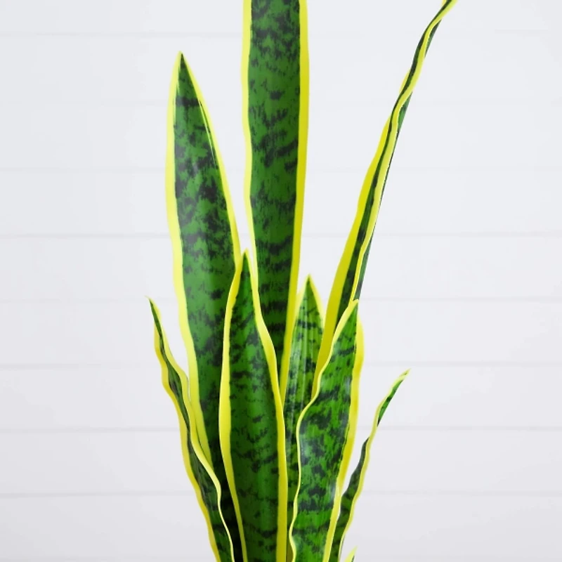 Artificial Sansevieria Plant