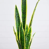 Artificial Sansevieria Plant