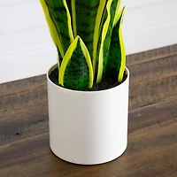Artificial Sansevieria Plant