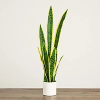 Artificial Sansevieria Plant