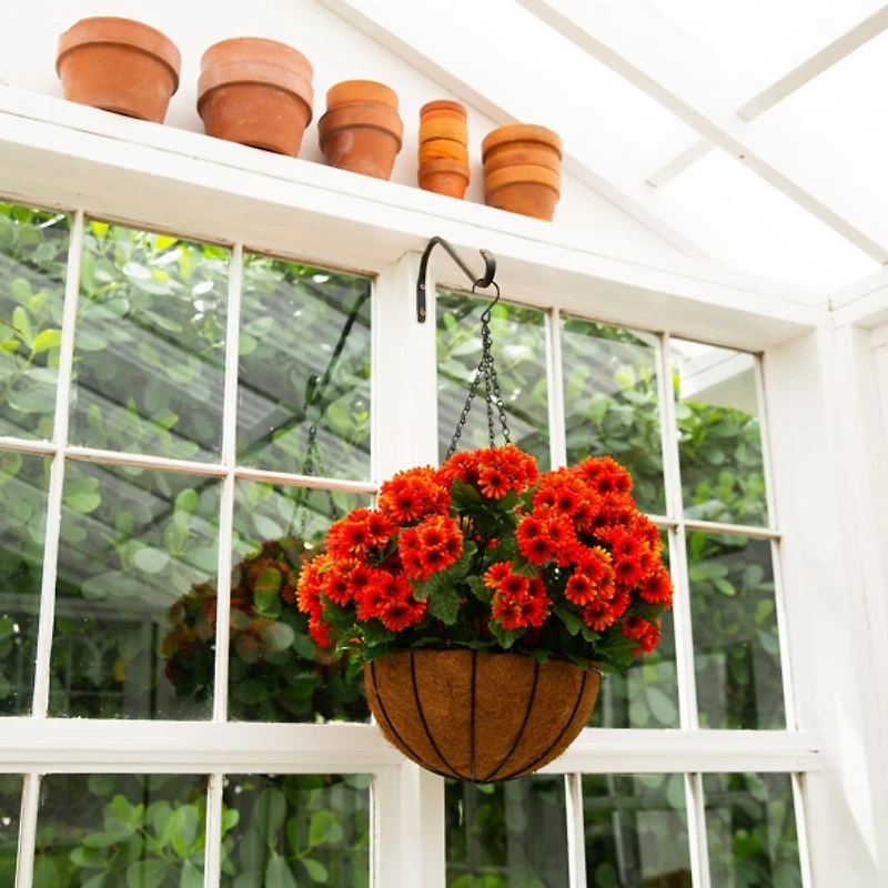 UV Resistant Orange Chrysanthemum Hanging Basket