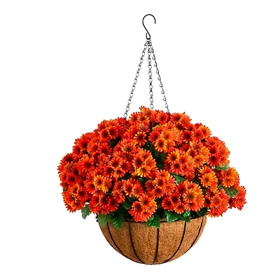UV Resistant Orange Chrysanthemum Hanging Basket