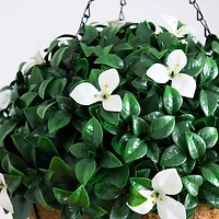 UV Resistant Gardenia Hanging Basket