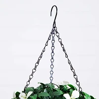 UV Resistant Gardenia Hanging Basket