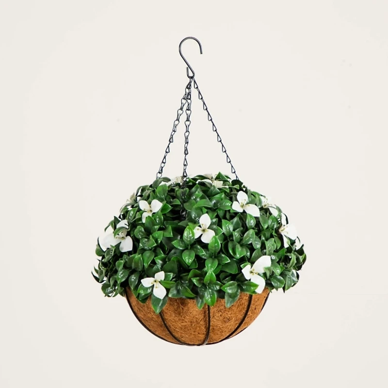 UV Resistant Gardenia Hanging Basket