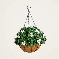 UV Resistant Gardenia Hanging Basket