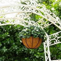 UV Resistant Gardenia Hanging Basket